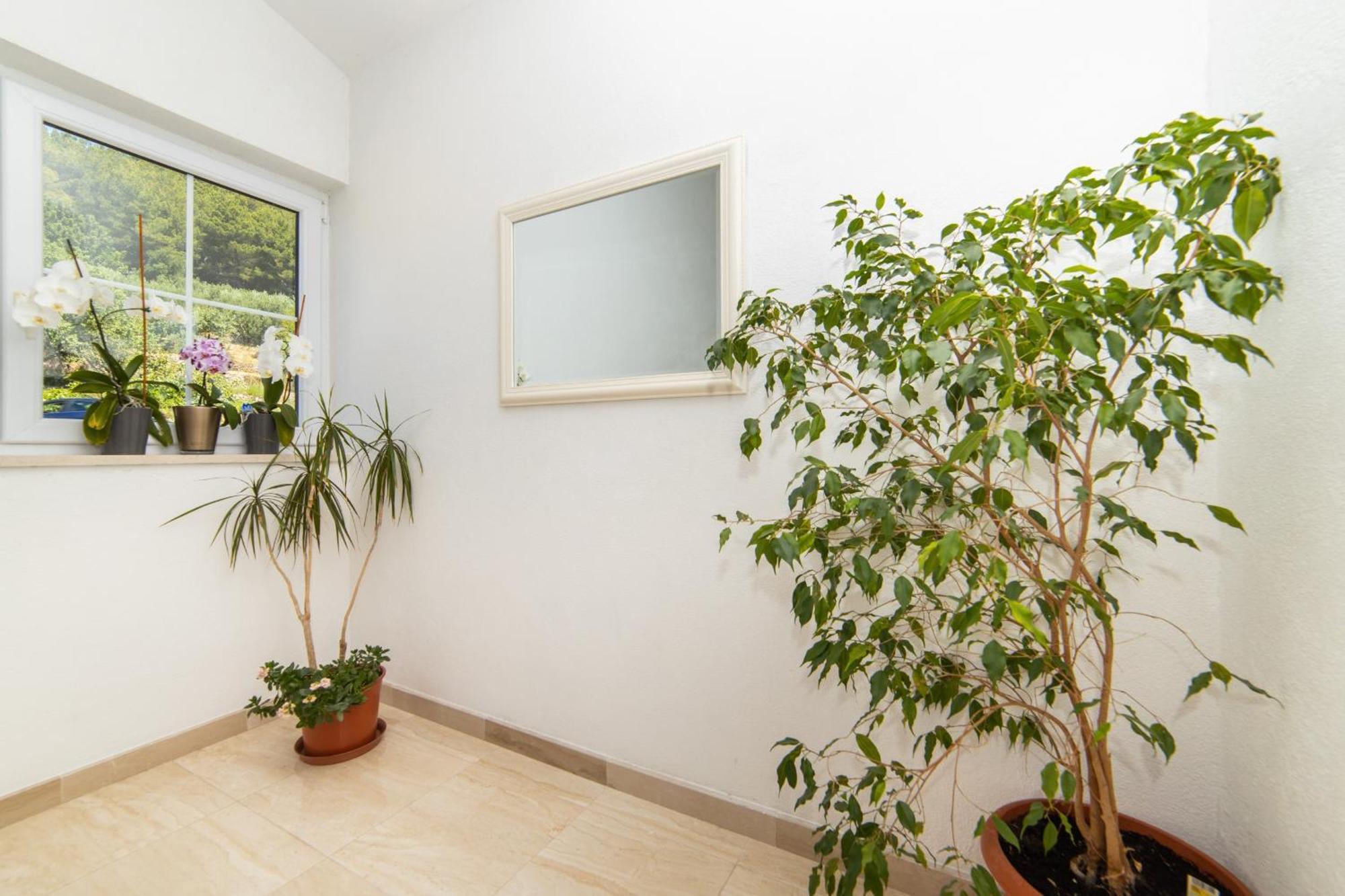 Apartments Tilda Брист Экстерьер фото